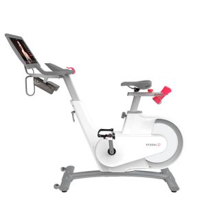 Купить Велотренажер Yesoul BV1-W PLUS в Уссурийске 